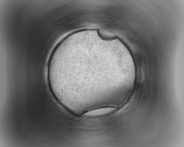 X0000093511424200711091713