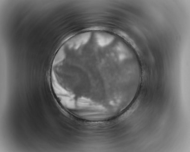 X0000093511425200711091713