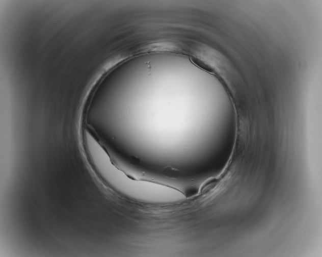 X0000093511426200711091713