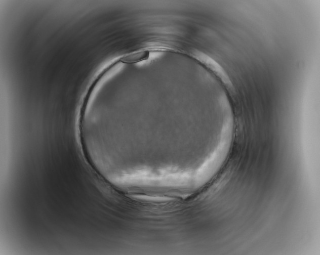 X0000093511427200711091713