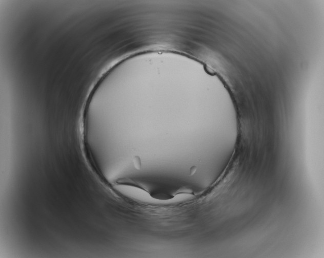 X0000093511428200711091713