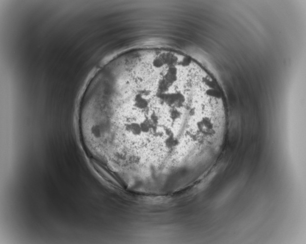 X0000093511429200711091713