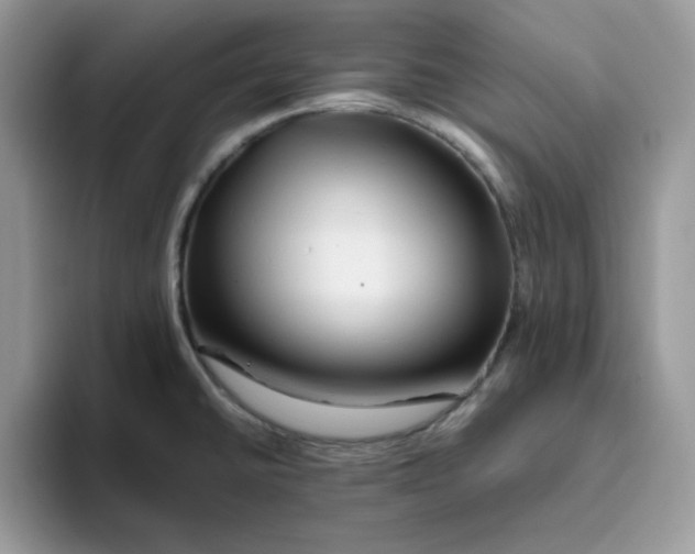 X0000093511430200711091713