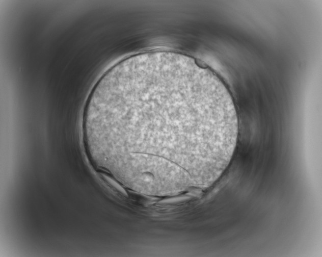 X0000093511431200711091713