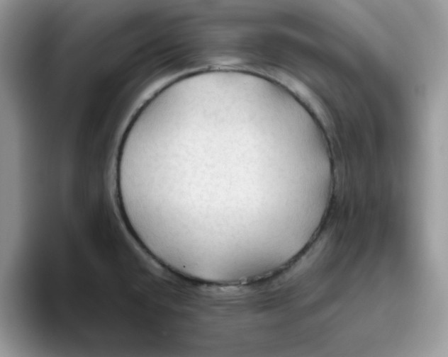 X0000093511432200711091713