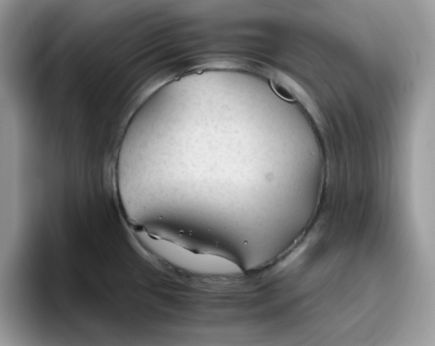 X0000093511433200711091713