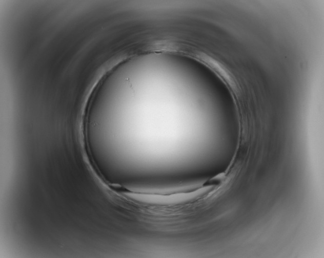 X0000093511434200711091713