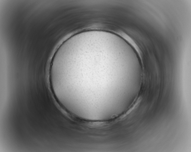 X0000093511437200711091713