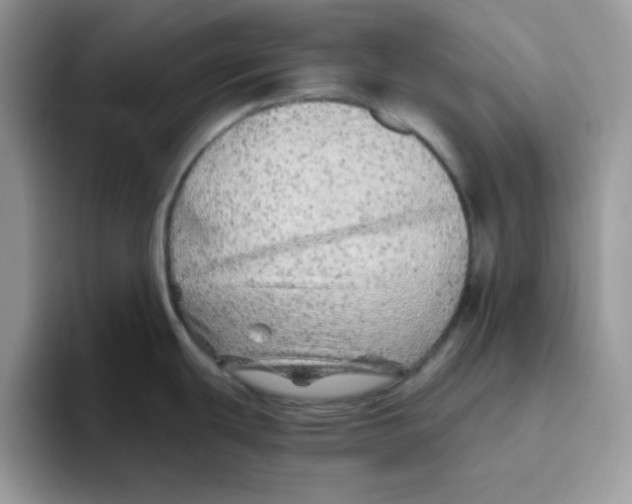 X0000093511439200711091713