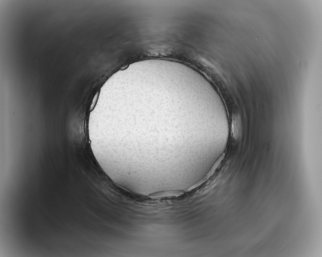 X0000093511444200711091712