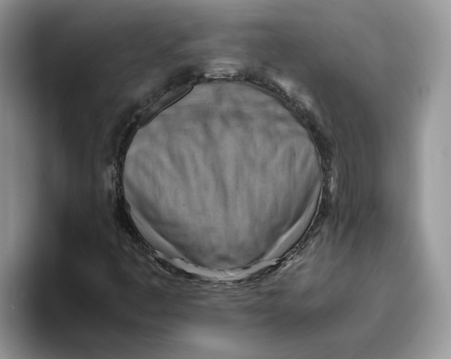 X0000093511445200711091712