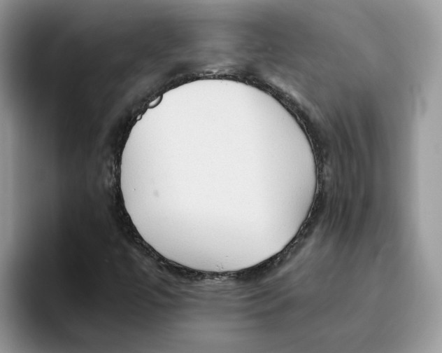 X0000093511447200711091712