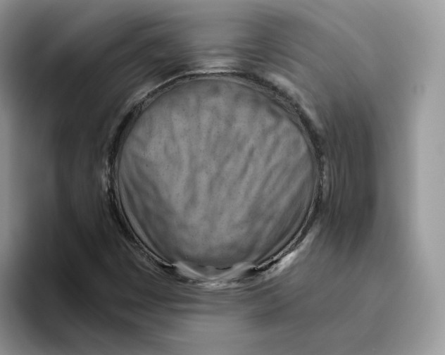 X0000093511449200711091712