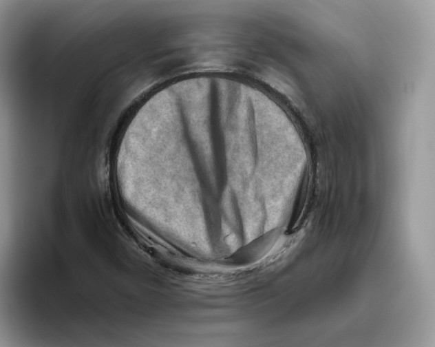 X0000093511450200711091712