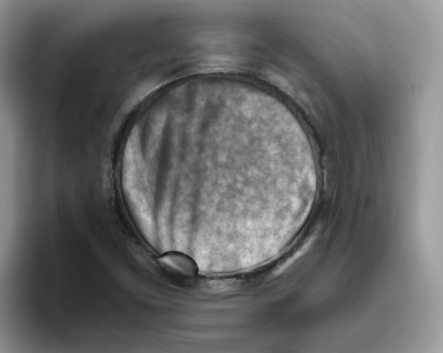 X0000093511453200711091712