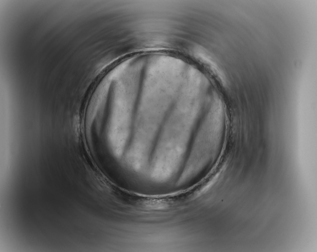 X0000093511457200711091712