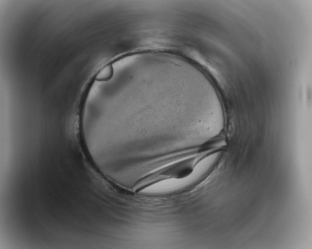 X0000093511459200711091712