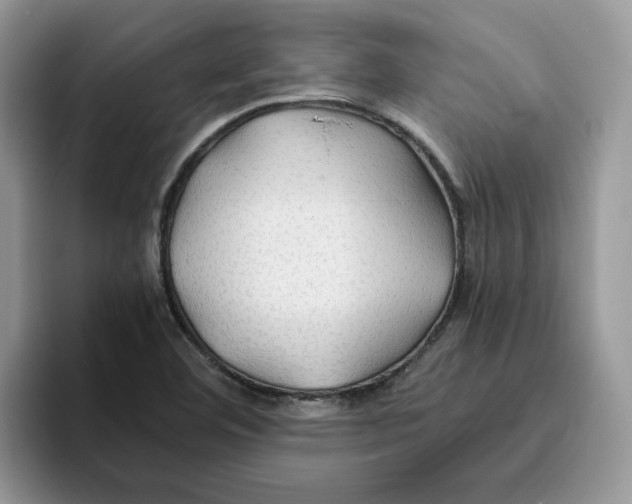 X0000093511460200711091712