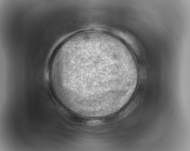 X0000093511462200711091712