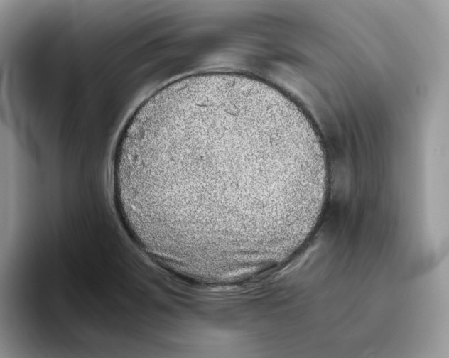 X0000093511467200711091712