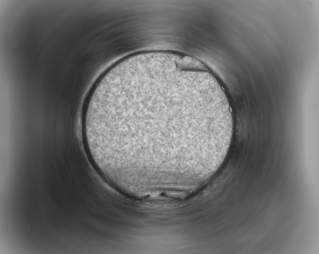 X0000093511468200711091712