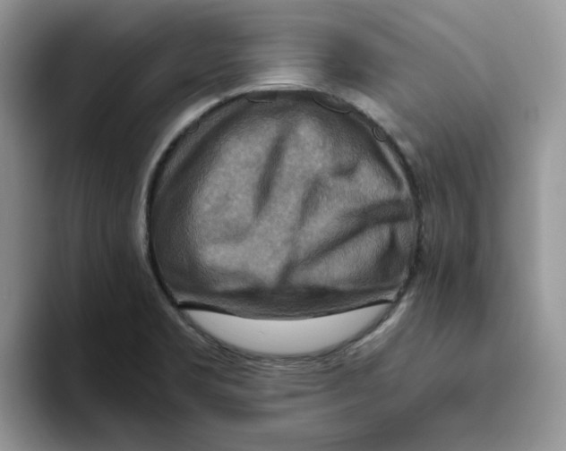 X0000093511469200711091712