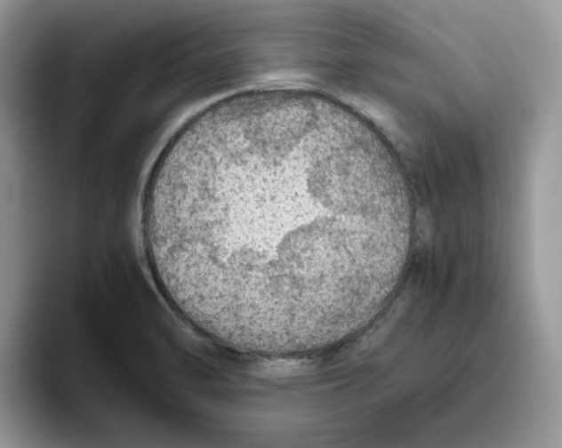 X0000093511470200711091712