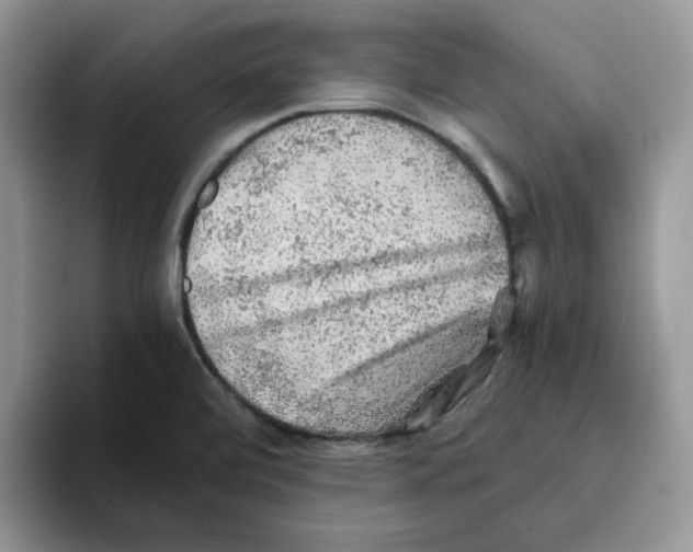 X0000093511472200711091712