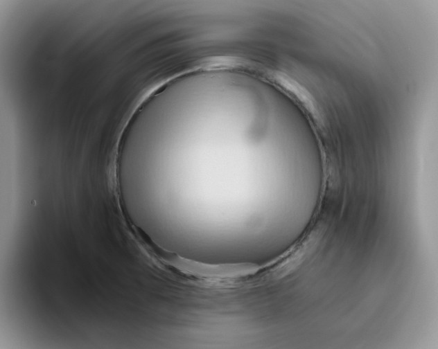 X0000093511473200711091712