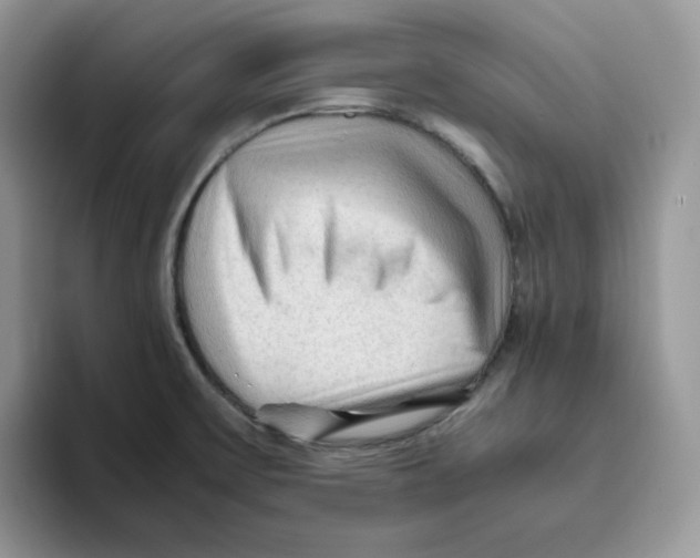 X0000093511475200711091712