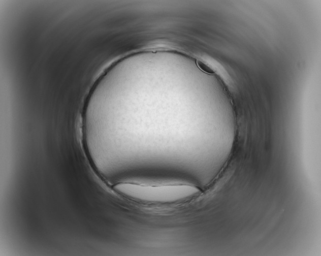 X0000093511476200711091712