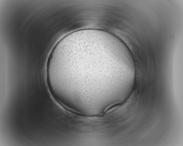 X0000093511479200711091712