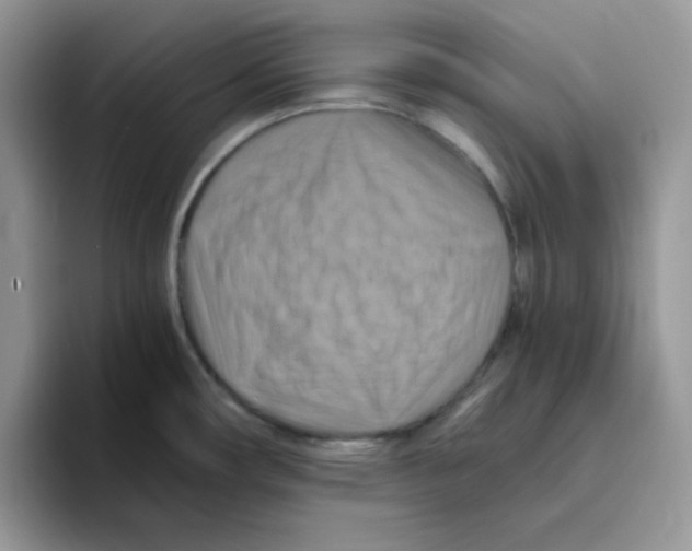 X0000093511482200711091712