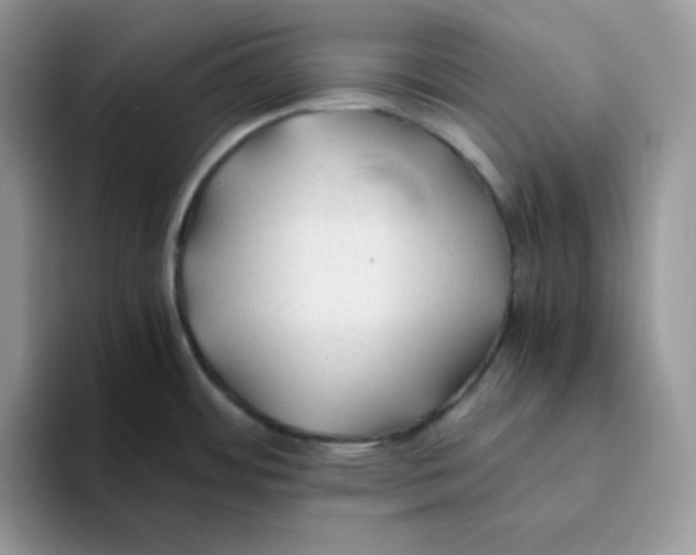 X0000093511484200711091712