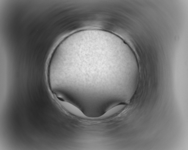 X0000093511488200711091712