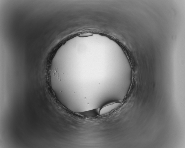 X0000093511496200711091711