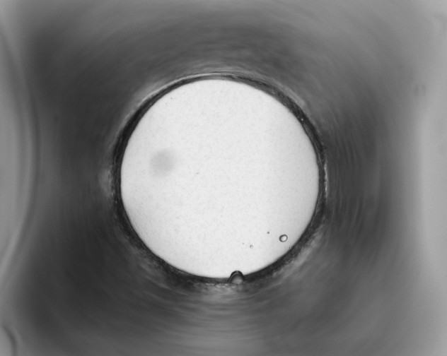 X0000093511501200711091711