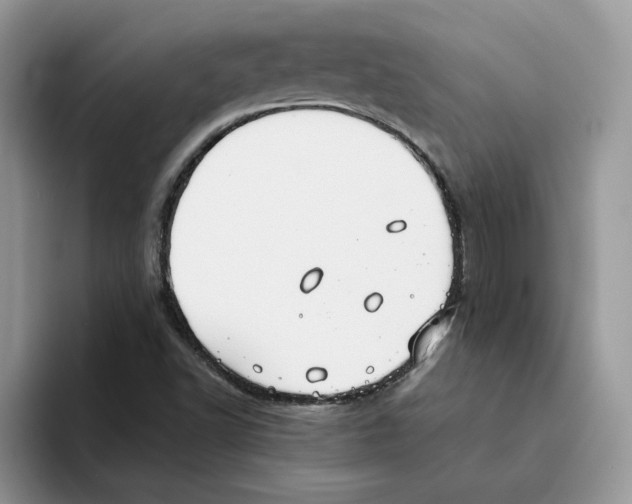 X0000093511502200711091711