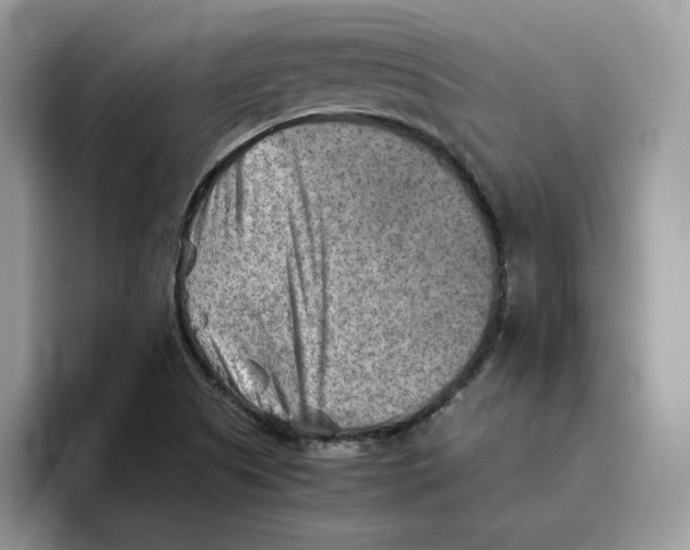 X0000093511505200711091712