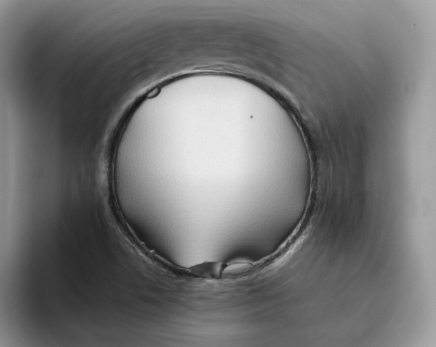 X0000093511506200711091712