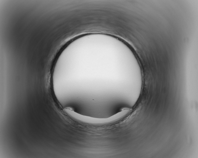 X0000093511507200711091712