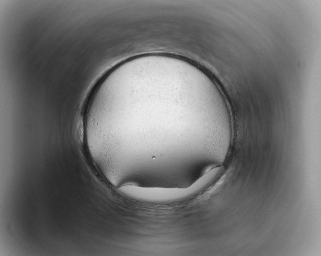 X0000093511509200711091712