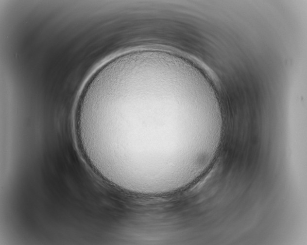 X0000093511514200711091712