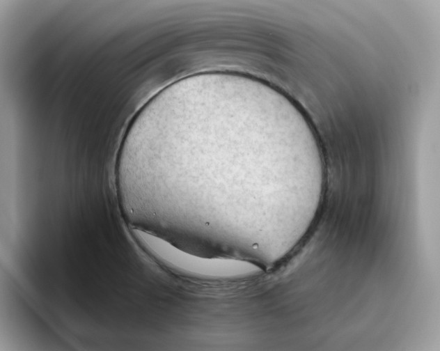 X0000093511521200711091712