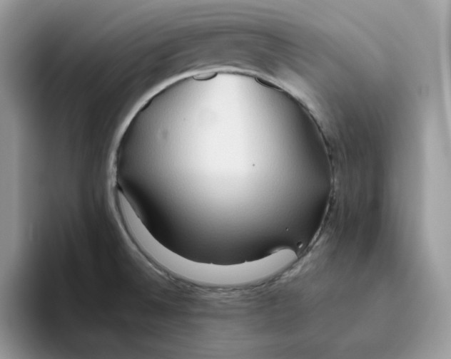 X0000093511524200711091712