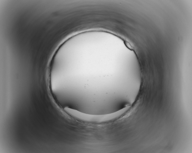 X0000093511526200711091712