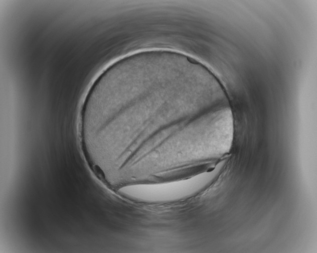 X0000093511527200711091712