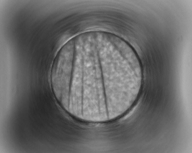 X0000093511529200711091712