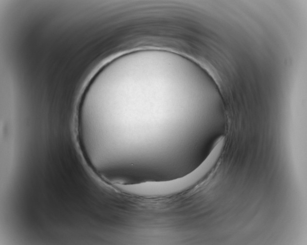 X0000093511531200711091712