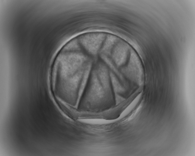 X0000093511533200711091712